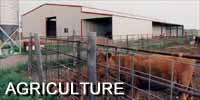 High Grade Steel Buildings For Agriculture 